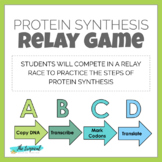 Protein synthesis review game