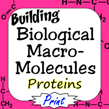 Preview of Proteins Building Biological Macromolecules Print Version