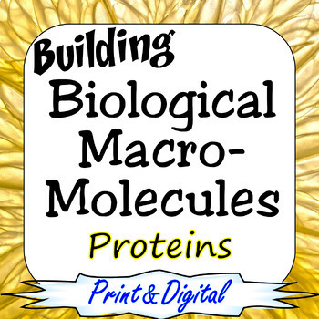 Preview of Proteins Building Biological Macromolecules Print & Digital Bundle
