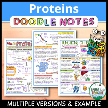 Preview of Proteins Doodle Notes - Structure and Function