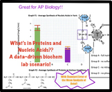 Proteins & Nucleic Acids - What's in Them?  Biochem analys