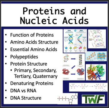 structure of nucleic acids for kids