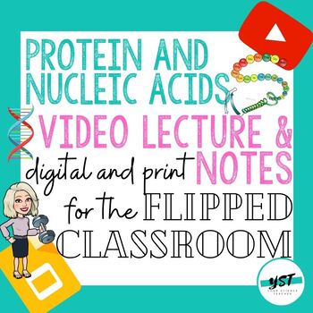Preview of Proteins and Nucleic Acids Video Lecture & Notes