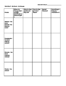 Protist Characteristics Graphic Organizer by Bringing Science to Life