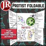 Protist Foldable & Interactive Notebook Insert