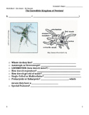 Protist Guided Notes