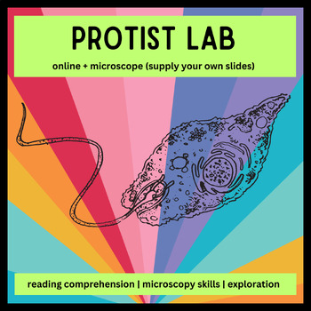Preview of Protist Lab- Web and Microscope Slides