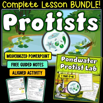 Preview of Protist Lesson Bundle | PowerPoint, FREE Guided Notes | Pond Water Lab