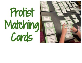 Preview of Protist Matching Cards