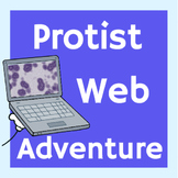 Protist Web Adventure