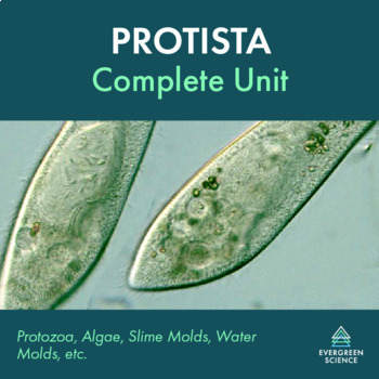 Preview of Protista Complete Unit