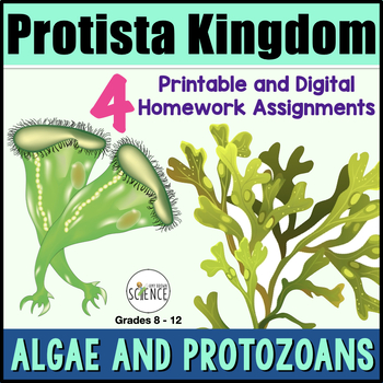 Preview of Protista Kingdom Protists Algae Protozoa - Homework Worksheets