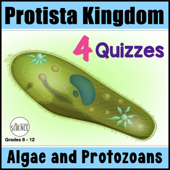 Preview of Protista Kingdom Protists Algae Protozoa - Quiz Set