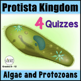 Protista Kingdom Protists Algae Protozoa - Quiz Set
