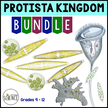 Preview of Protista Kingdom Unit Bundle  - Protists, Algae, and Protozoans