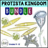 Protista Kingdom Unit Bundle  - Protists, Algae, and Protozoans