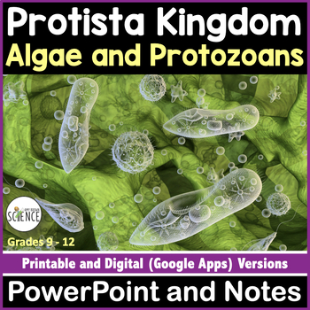 Preview of Protista Kingdom Protists Algae Protozoa -  PowerPoint and Notes