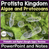 Protista Kingdom Protists Algae Protozoa -  PowerPoint and Notes