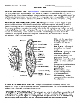 Protists Anatomies and Basics by Bringing Science to Life | TPT