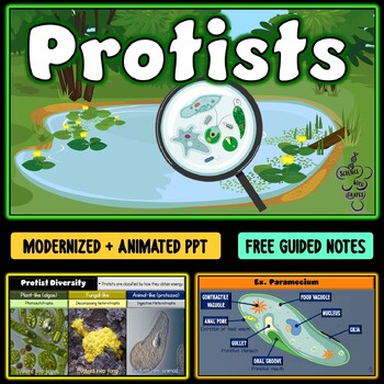 Preview of Protists Animated PowerPoint + FREE Guided Notes