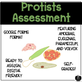 Protists Assessment