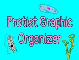 Protists Graphic Organizer