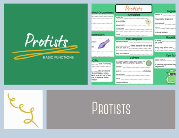 Preview of Protists Introduction Bundle