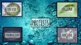 Protists Notes (Volvox, Euglena, Paramecium, and Flagella)