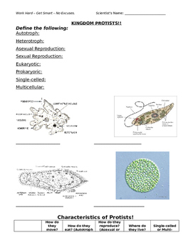 Preview of Protists Review Guide