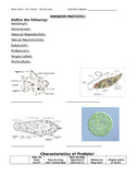 Protists Review Guide