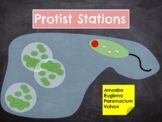 Protists Stations