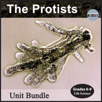 Preview of Protists Unit Bundle Protista Kingdom