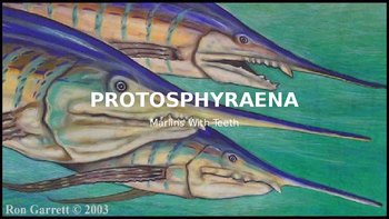Preview of Protosphyraena