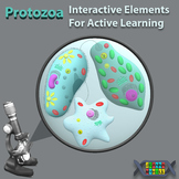 Protozoa. Interactive Elements For Active Learning BUNDLE