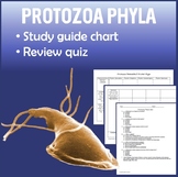 Protozoa Protist Phyla Study Guide Chart with Quiz