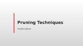 Pruning Lecture