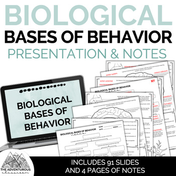 Preview of Psychology: Biological Bases of Behavior Presentation and Notes Bundle