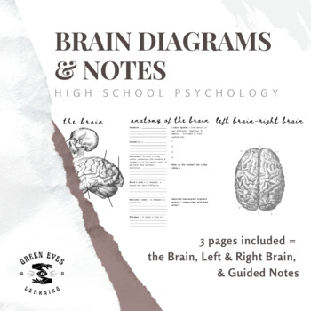 Preview of Psychology Brain Diagram & Notes Worksheets/Notebook Pages