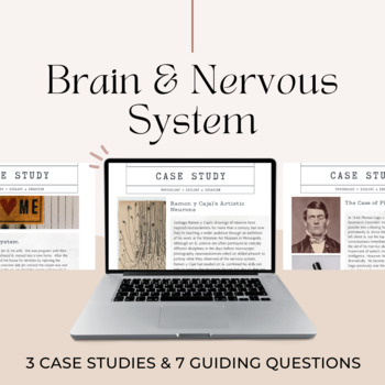 Preview of Psychology Brain & Nervous System Case Studies & Questions