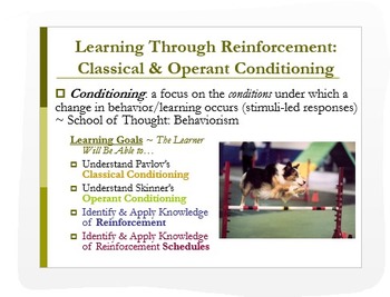 Preview of Psychology: Classical & Operant Conditioning PPT + Analytic Activities!
