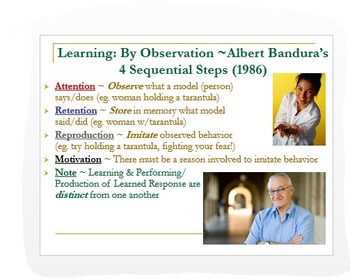 Preview of Psychology: Cognition/Learning Theories ~ Concise & Interactive PPT