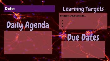 Preview of Psychology Daily Agenda Template