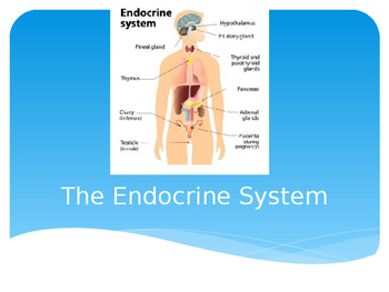 Preview of Psychology - Endocrine System Presentation