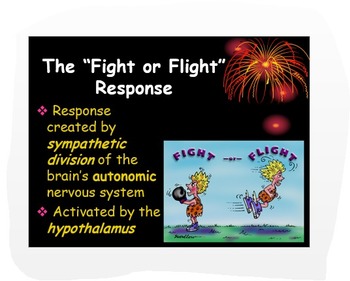 Preview of Psychology: Fight or Flight Response w/Critical Thinking PowerPoint