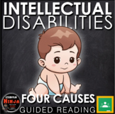 Psychology Intellectual Disabilities: Causes + Digital Res