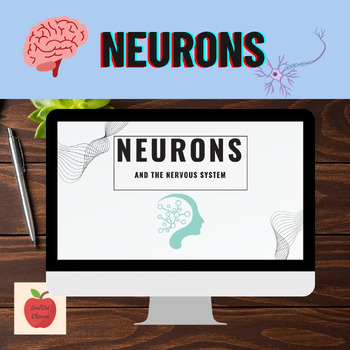 Preview of Neurons Lesson and Notes