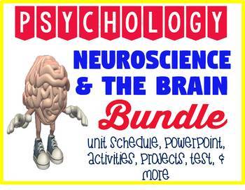 Preview of Psychology Neuroscience & Brain unit BUNDLE powerpoint activities project test