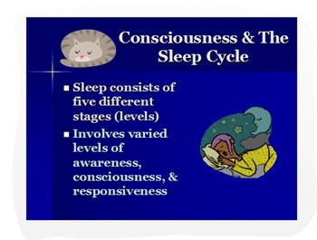 Preview of Psychology PPT: Consciousness/Sleep Stages with Analytic Activities
