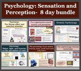 Psychology: Sensation and Perception-  8 day bundle