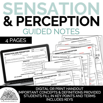 Preview of Psychology: Sensation and Perception Guided Notes